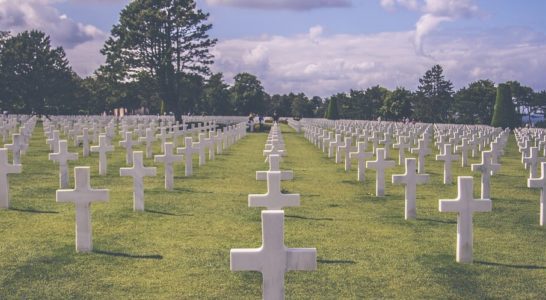 Odszkodowanie, śmierć, rodzina, zadośćuczynienie - Kasprzyk-Waliszewski